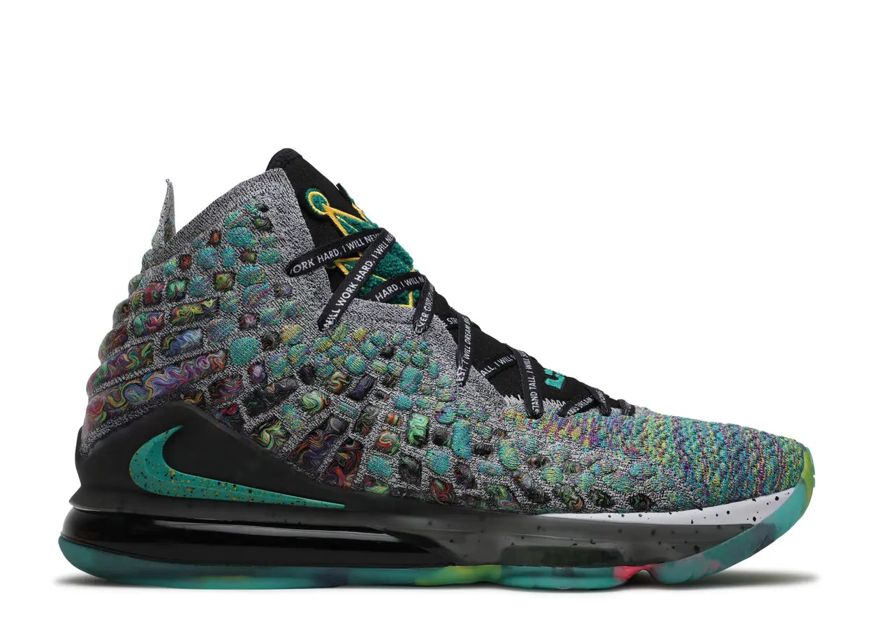 LeBron 17 I Promise