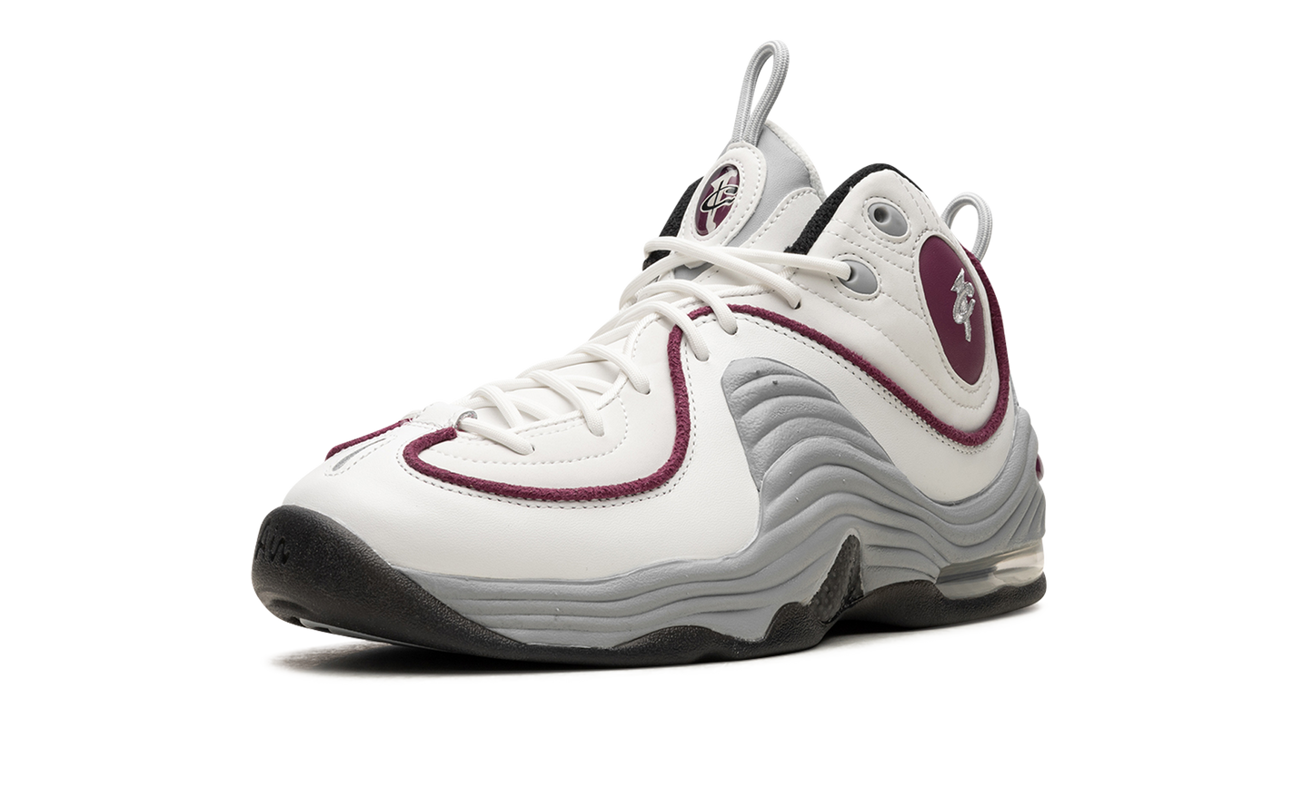 AIR PENNY 2 WMNS"Rosewood" DV1163 100