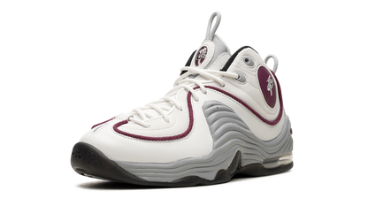 AIR PENNY 2 WMNS"Rosewood" DV1163 100