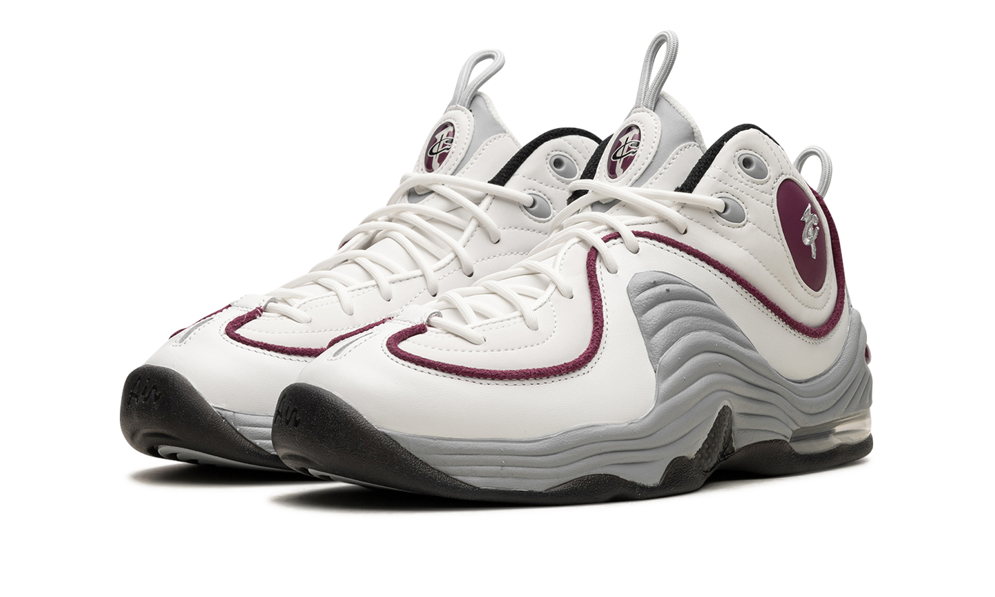 AIR PENNY 2 WMNS"Rosewood" DV1163 100