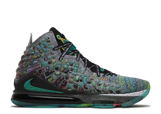 LeBron 17 I Promise