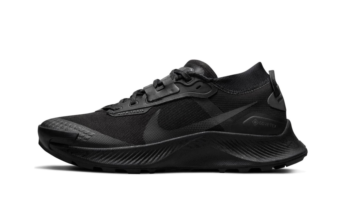 Pegasus Trail 3 Gore-Tex Wmns"Black" DC8794 001