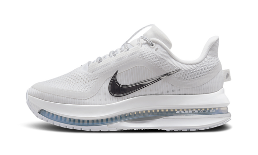 Pegasus Premium WMNS"White Metallic Silver" HQ2593 102