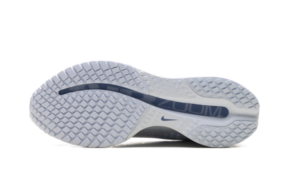 Air Zoom Pegasus Premium WMNS"Football Grey" HQ2593 006