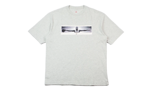 Wingspan Photo T-Shirt "Grey" IF5617 050