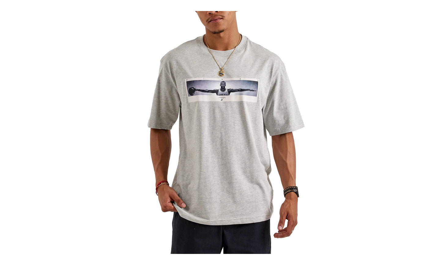 Wingspan Photo T-Shirt "Grey" IF5617 050