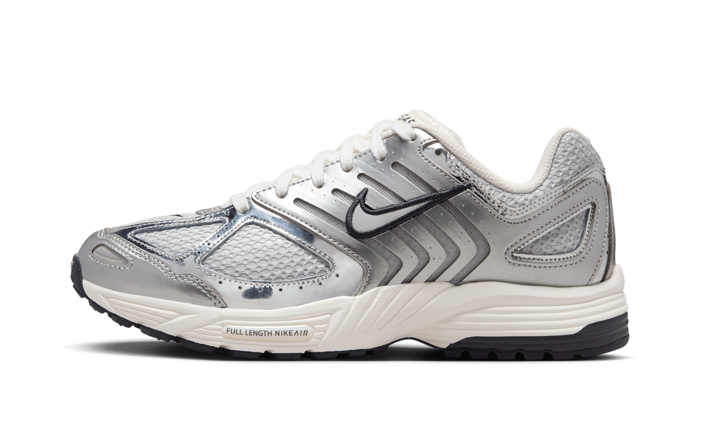 Air Pegasus 2K5 WMNS"Chrome" HJ7310 025