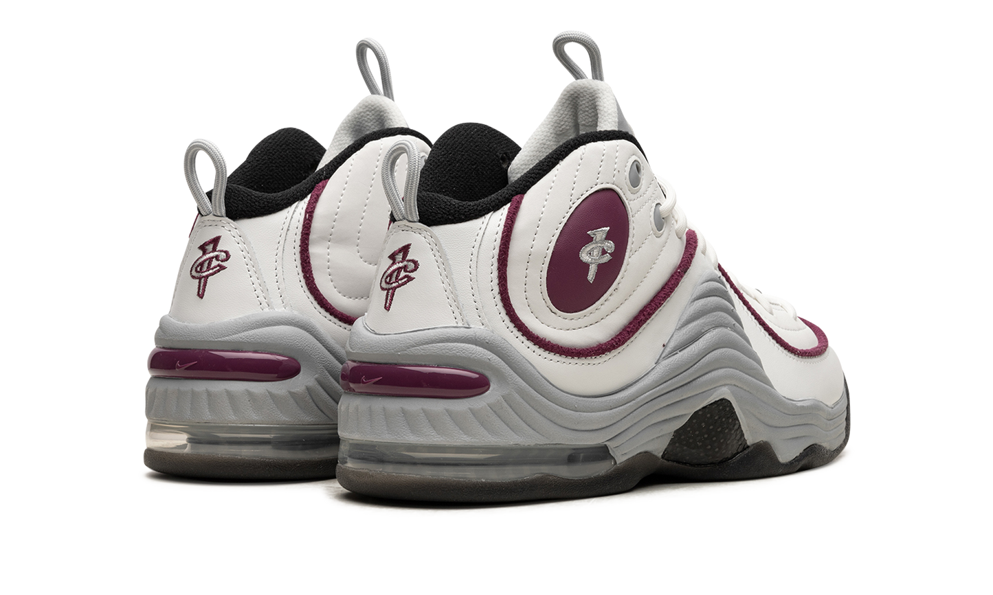 AIR PENNY 2 WMNS"Rosewood" DV1163 100
