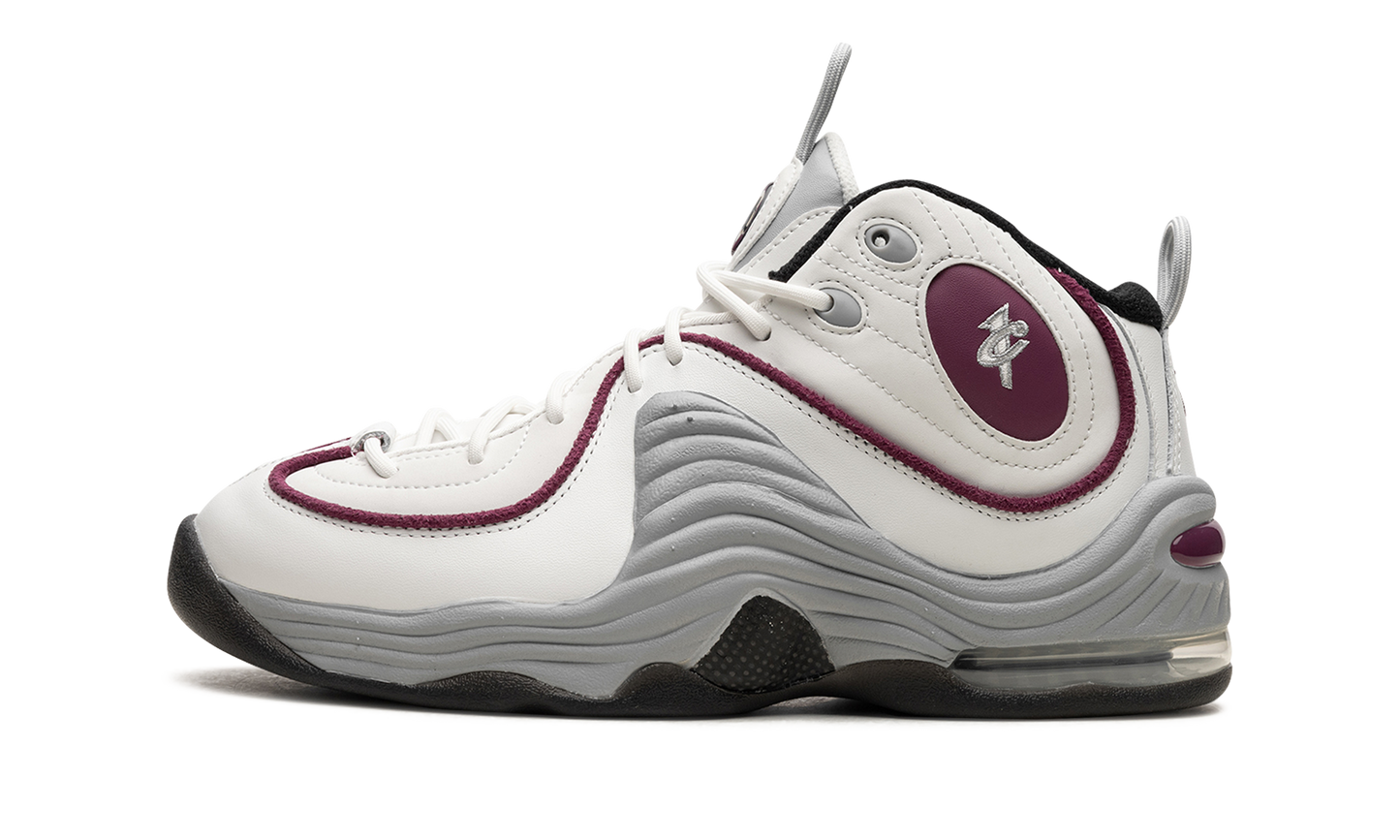 AIR PENNY 2 WMNS"Rosewood" DV1163 100