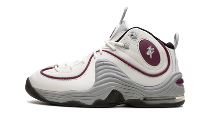 AIR PENNY 2 WMNS"Rosewood" DV1163 100