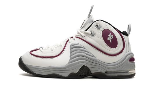 AIR PENNY 2 WMNS"Rosewood" DV1163 100