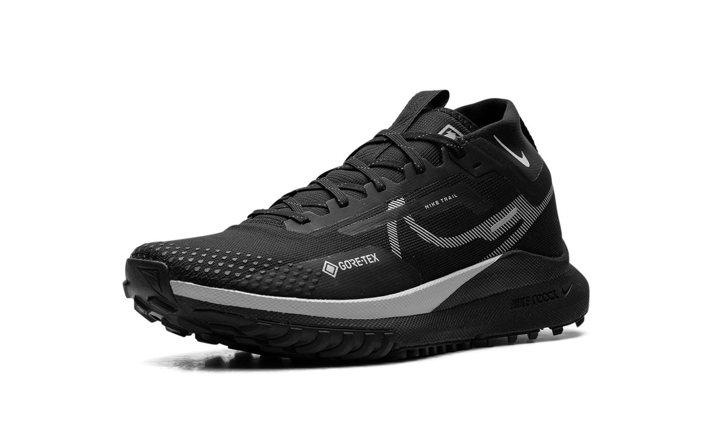 WMNS React Pegasus Trail 4 GTX"Reflect Silver" DJ7929 001