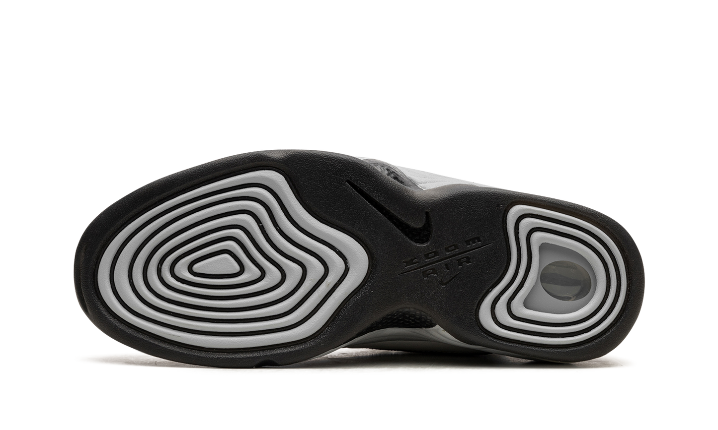 AIR PENNY 2 WMNS"Rosewood" DV1163 100