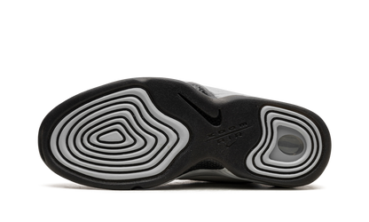 AIR PENNY 2 WMNS"Rosewood" DV1163 100
