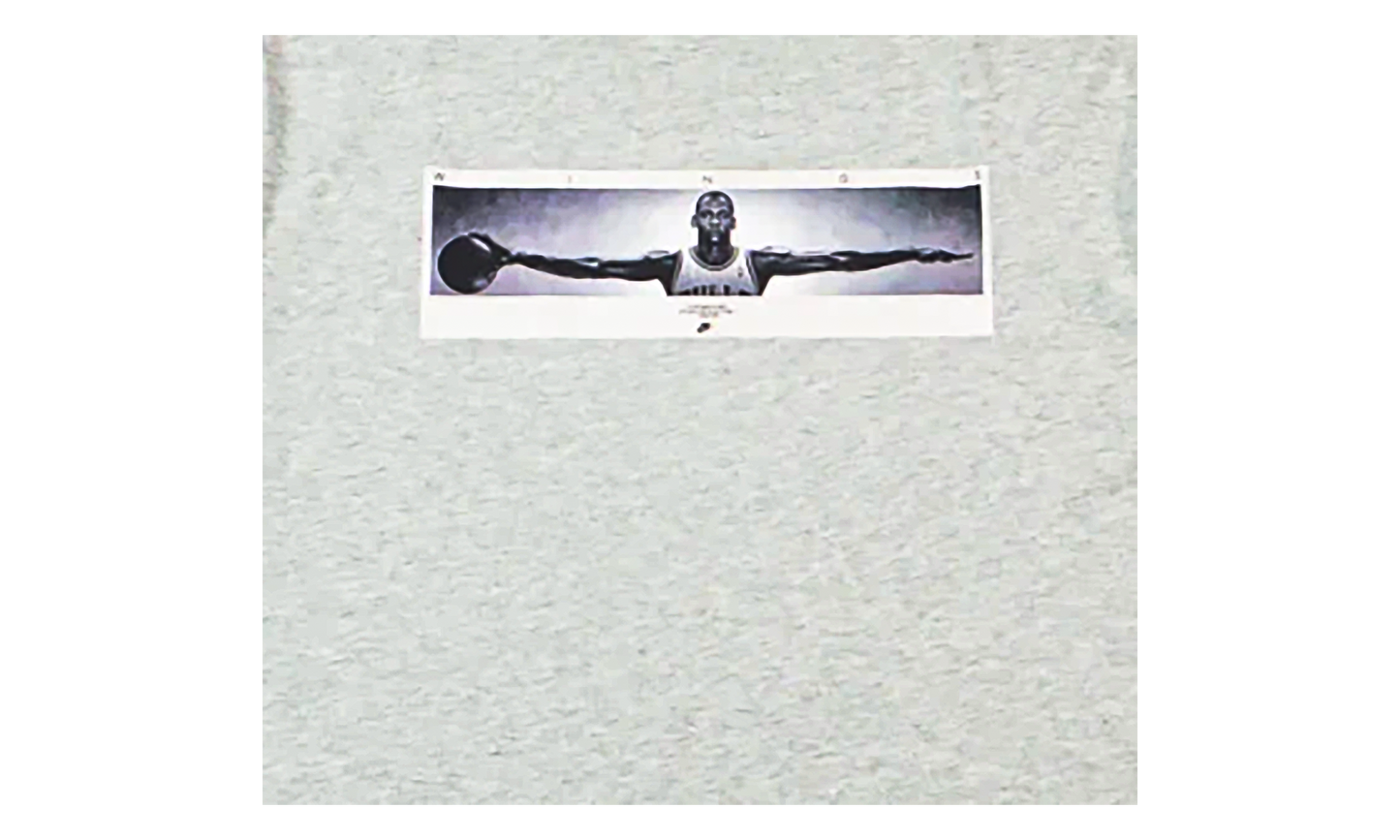 Wingspan Photo T-Shirt "Grey" IF5617 050