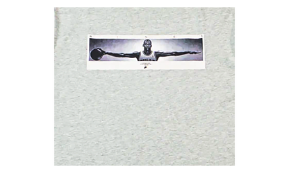Wingspan Photo T-Shirt "Grey" IF5617 050