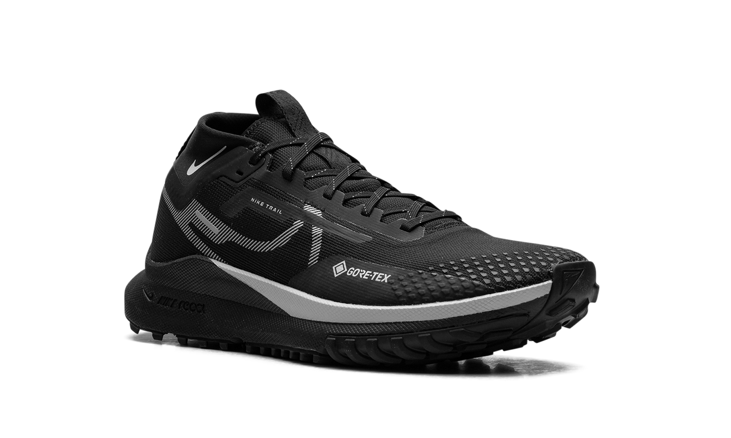 WMNS React Pegasus Trail 4 GTX"Reflect Silver" DJ7929 001