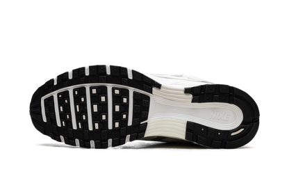 P-6000 WMNS"Coconut Milk" FV6603 100