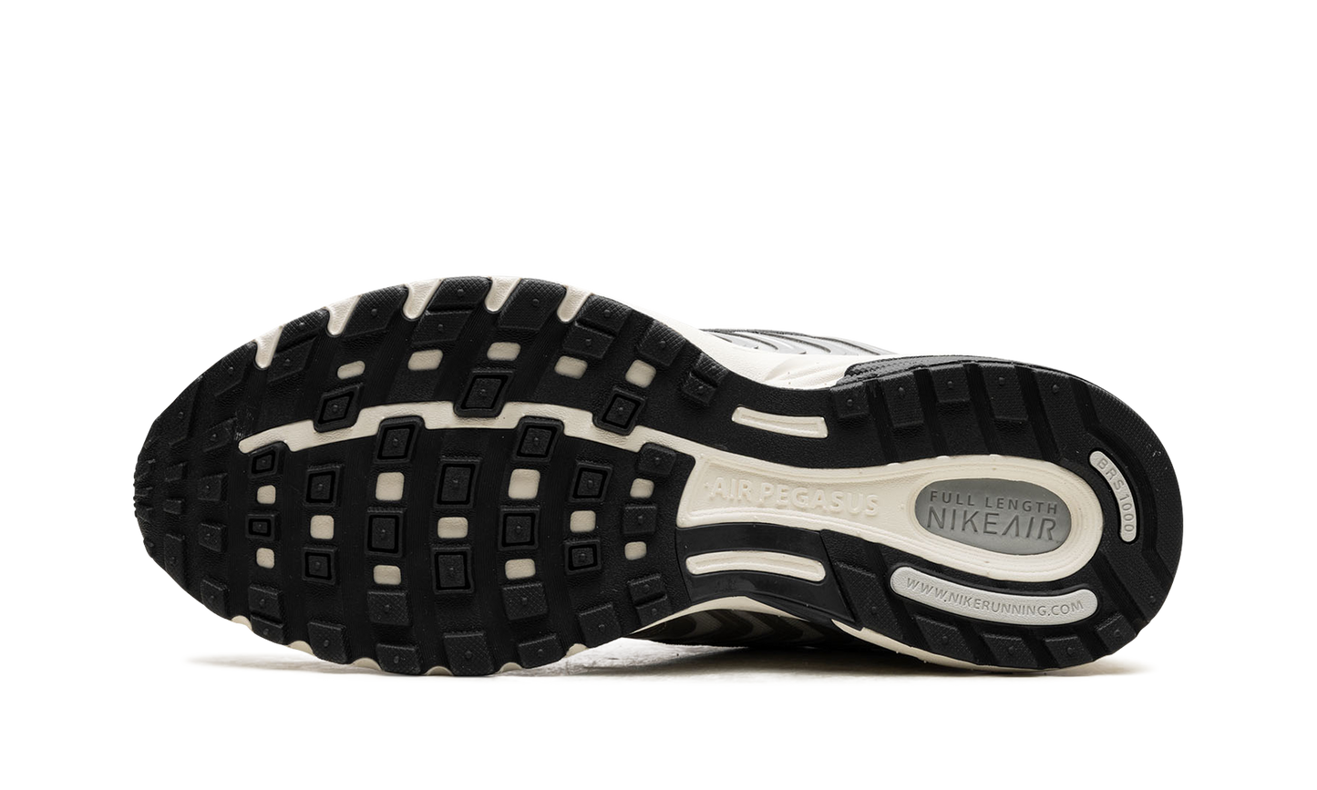Air Pegasus 2K5 WMNS"Chrome" HJ7310 025
