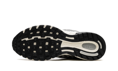 Air Pegasus 2K5 WMNS"Chrome" HJ7310 025