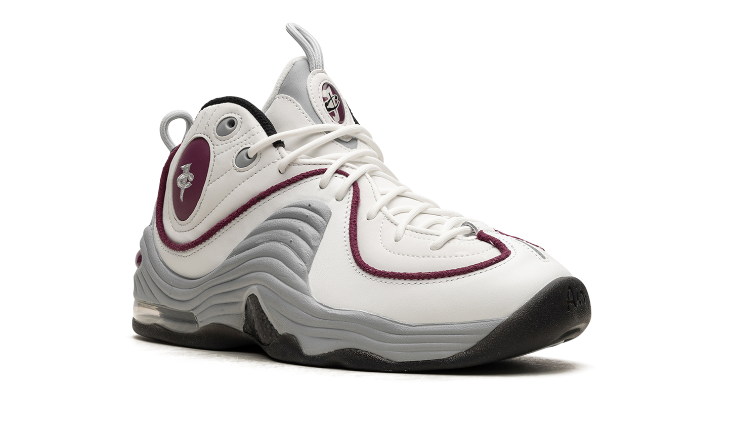 AIR PENNY 2 WMNS"Rosewood" DV1163 100