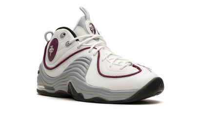AIR PENNY 2 WMNS"Rosewood" DV1163 100