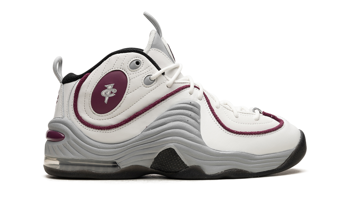 AIR PENNY 2 WMNS"Rosewood" DV1163 100