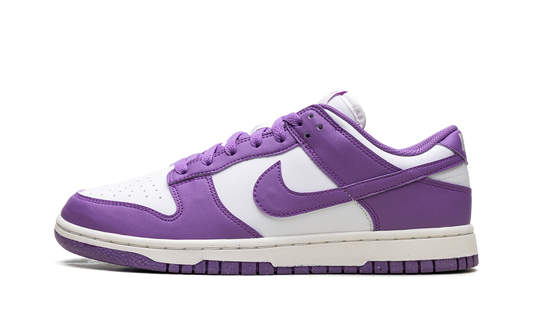 Dunk Low WMNS"Black Raspberry" DD1873 108