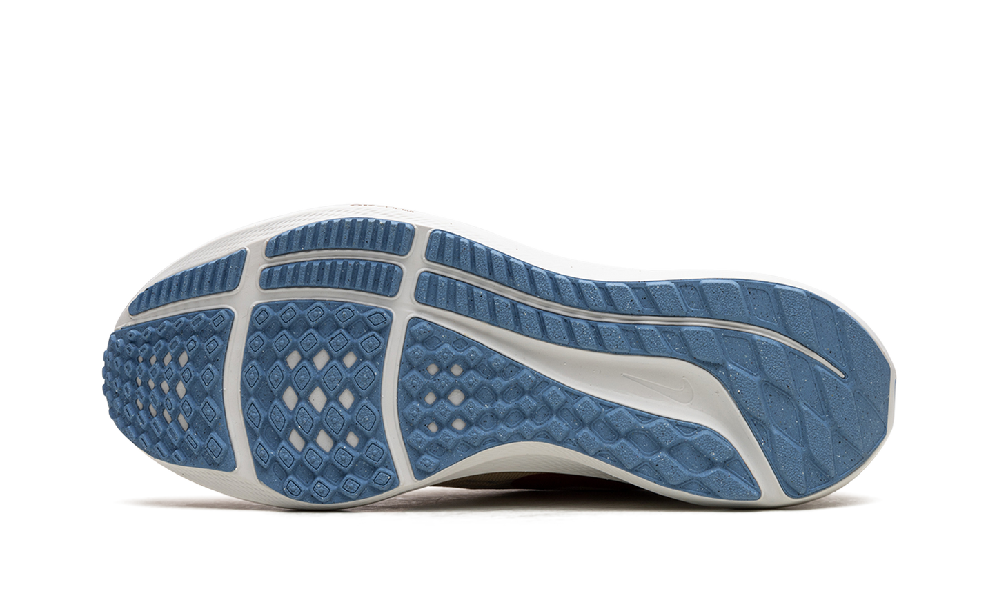 AIR ZOOM PEGASUS 39 WMNS"Sesame" DX1826 200