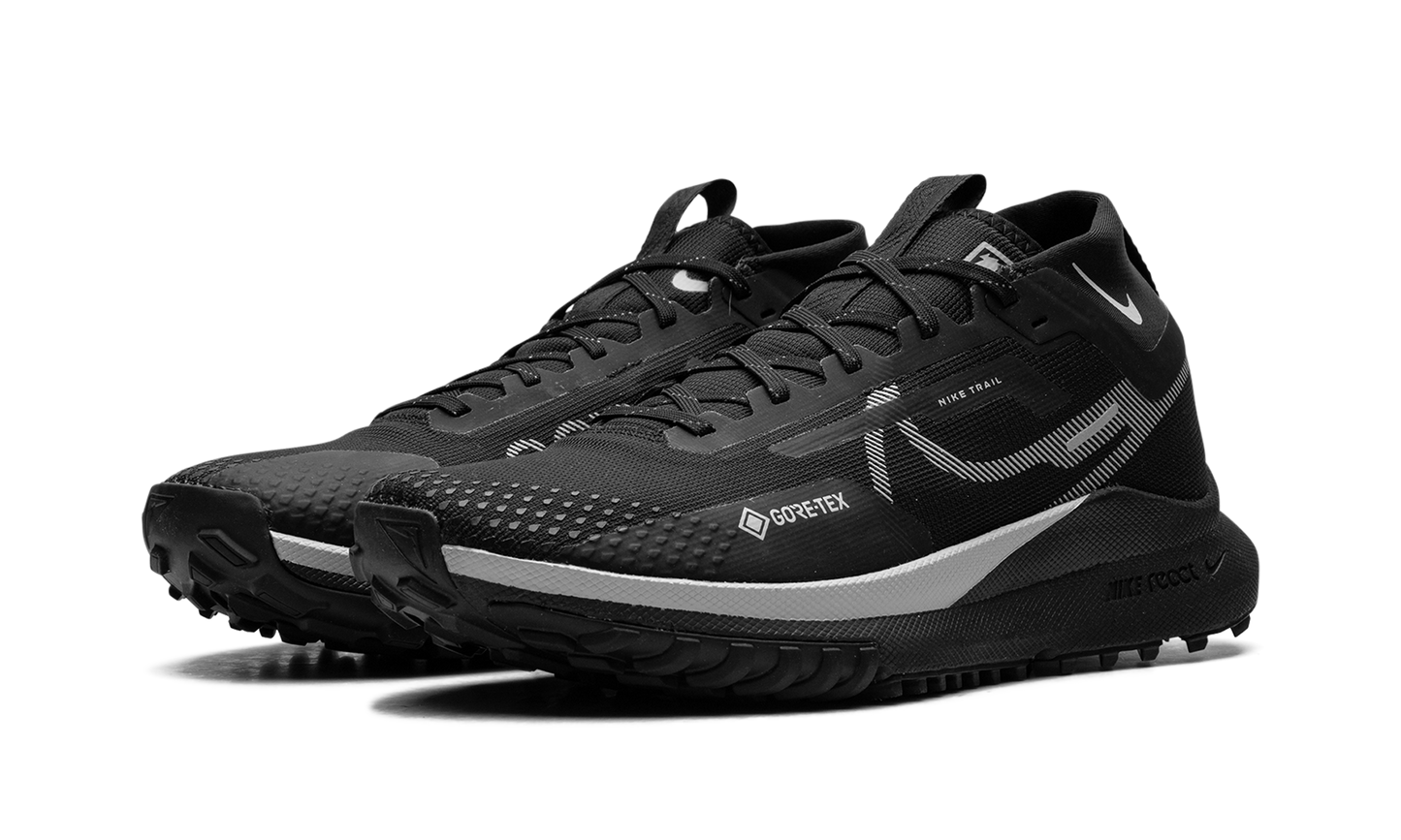 WMNS React Pegasus Trail 4 GTX"Reflect Silver" DJ7929 001